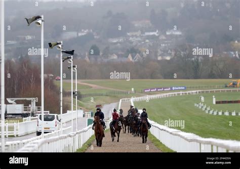 Cheltenham Festival market movers: five Henry de Bromhead horses.
